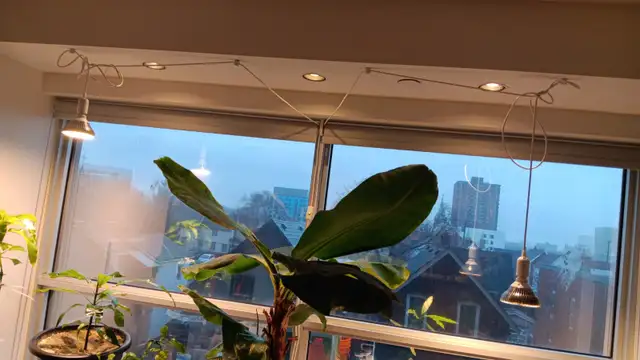 150W Equivalent LED Grow Lights (Pair) - Full Setup - $45 - Photo 5