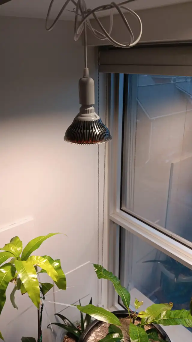 150W Equivalent LED Grow Lights (Pair) - Full Setup - $45 - Photo 7