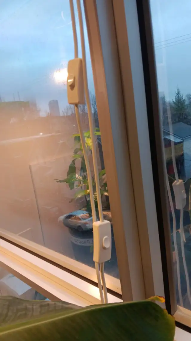 150W Equivalent LED Grow Lights (Pair) - Full Setup - $45 - Photo 8