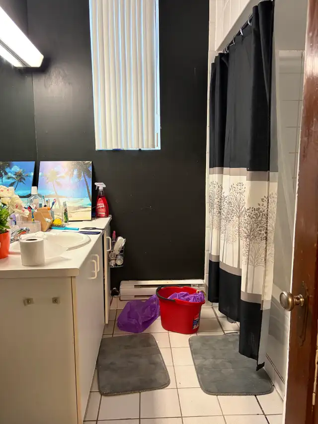 Beau très grand 7 1/2 chemin Ste-Foy Juillet - Photo 17