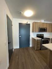 1 Bedroom at Sawmill 191 Rink Street All Inclusive! - Photo 11
