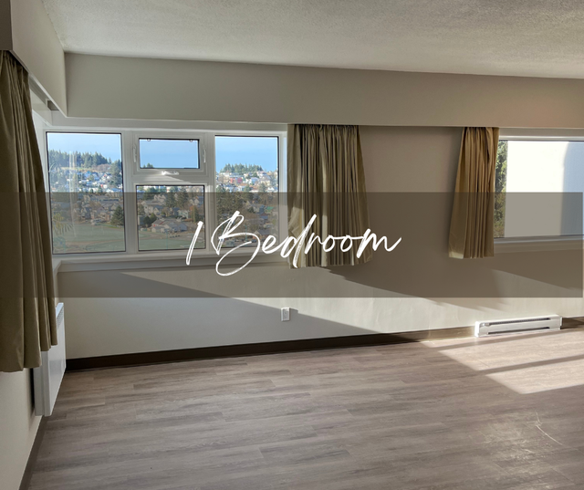 Digby Tower  NOW RENTING! - Photo 5