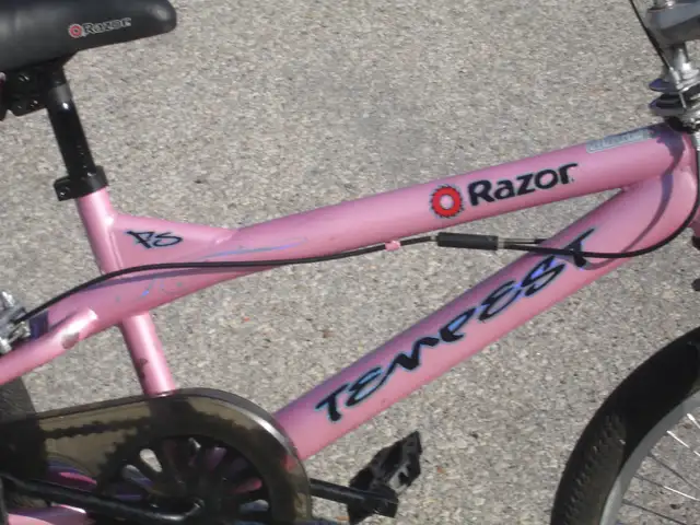 GIRL POWER 20' TEMPEST RAZOR BMX STYLE BIKE $140.00 FIRM! - Photo 5
