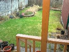 In-home dogsitter service available