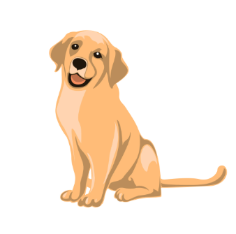 In-home dogsitter service available - Photo 2