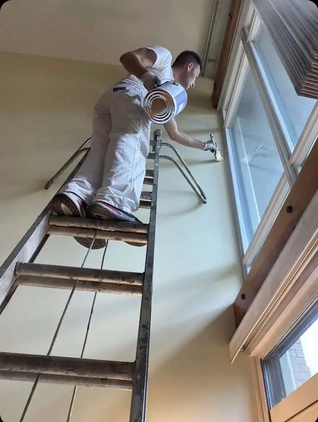 Professional Painter Painters Painting Renovation 647692.0562