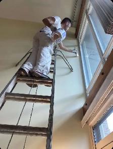 Professional Painter Painters Painting Renovation 647692.0562