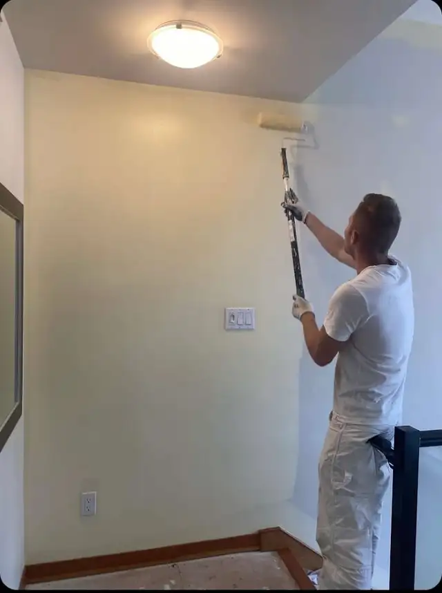 Professional Painter Painters Painting Renovation 647692.0562