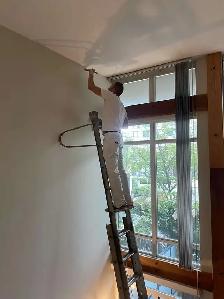 Professional Painter Painters Painting Renovation 647692.0562