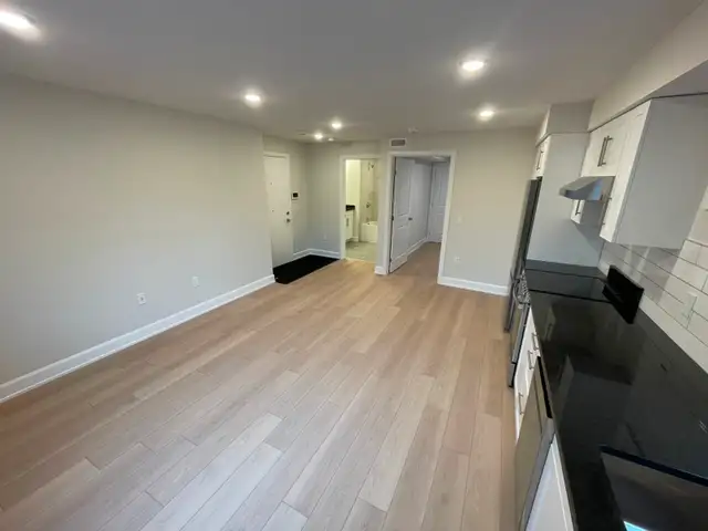 Steps to Ottawa University - Beautiful 1 bedroom apt - NEW BUILD - Photo 4