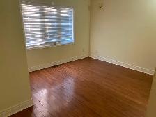ROOM FOR RENT - $800 - Albion / Islington - FEMALE ONLY -