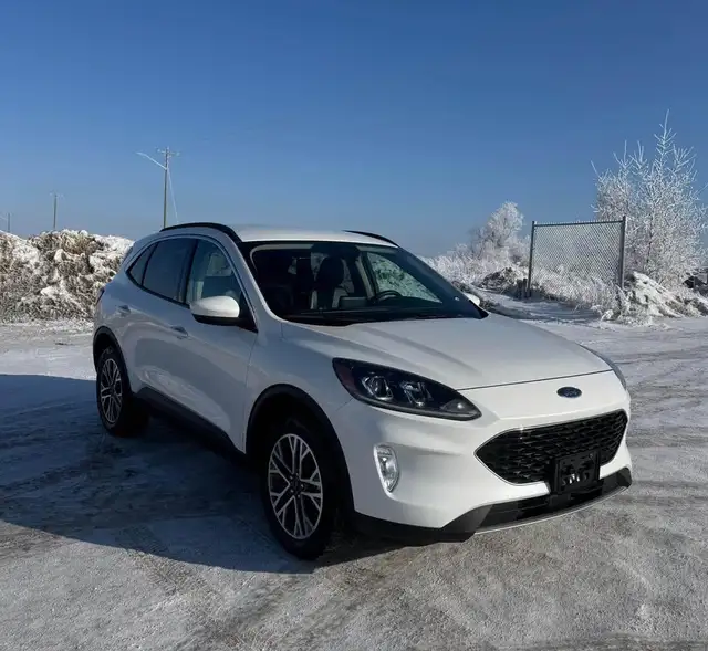 2020 Ford Escape SEL - Photo 3