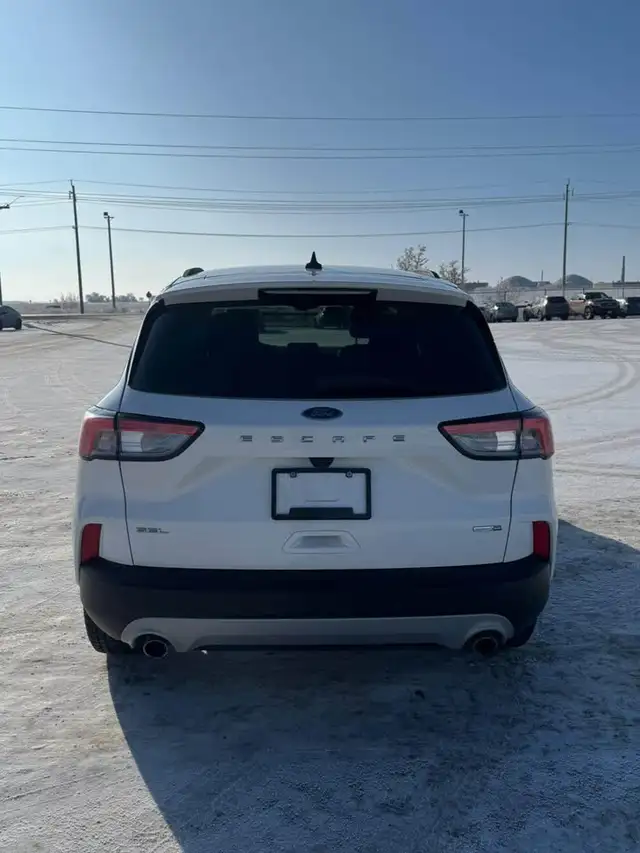 2020 Ford Escape SEL - Photo 7