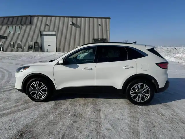 2020 Ford Escape SEL - Photo 8