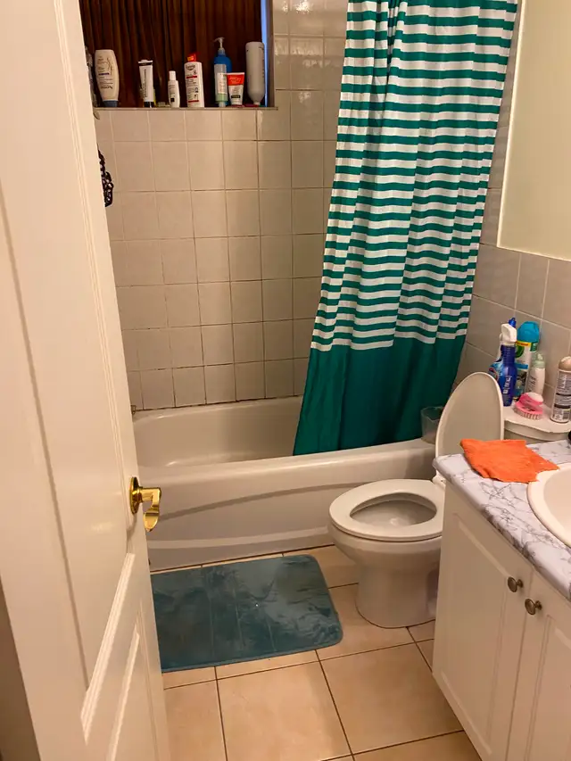 One Bedroom Basement Apartment - $1400 - Albion / Islington - Photo 3