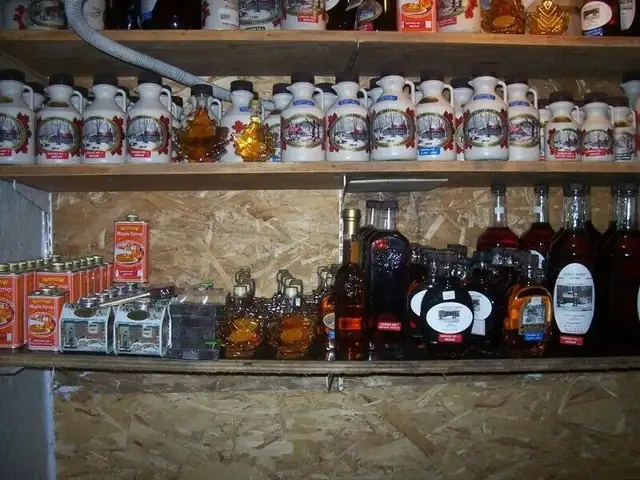 fresh ont maple syrup 2026 season - Photo 4