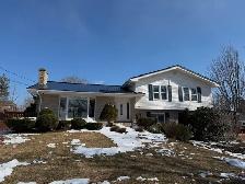 Steel & Shingle Roofing