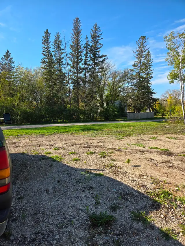 100' x 100' lot for sale - Photo 6