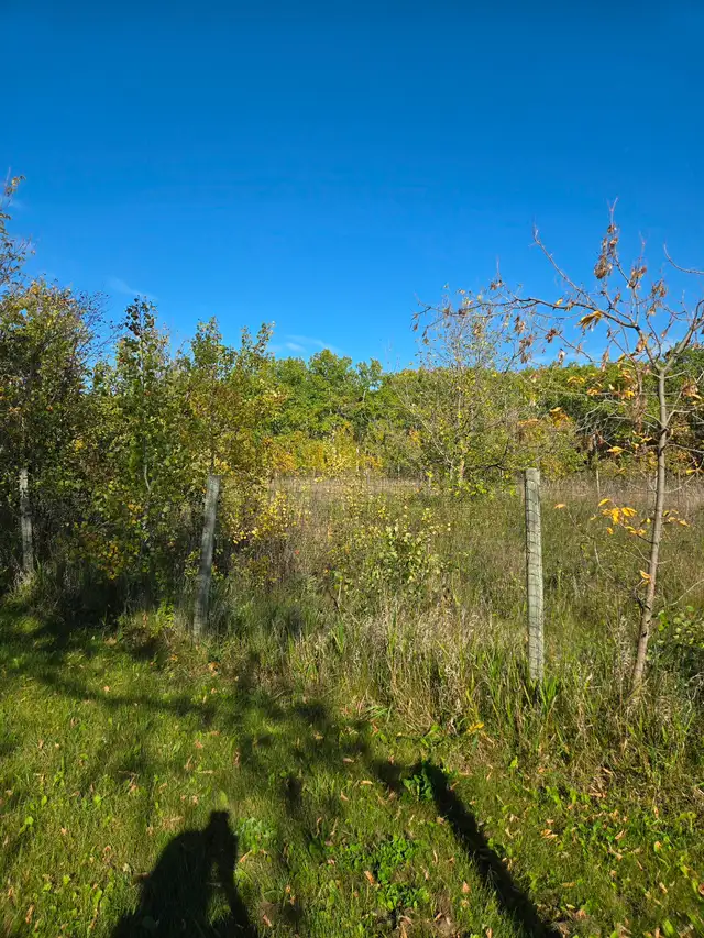 100' x 100' lot for sale - Photo 7