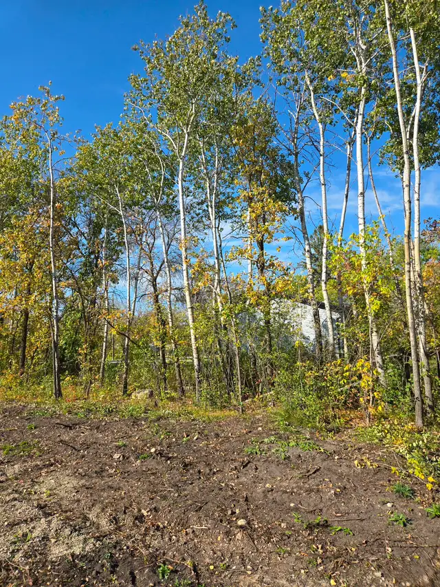 100' x 100' lot for sale - Photo 10