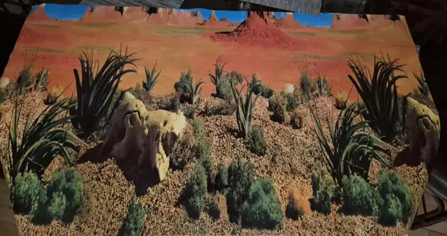 48' AQUARIUM / TERRARIUM BACKDROP – REVERSIBLE – 2 SCENES – $10 - Photo 2