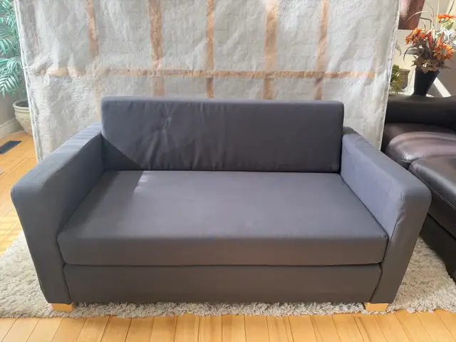 Apartment size sofa with pullout mattress…ONLY $150