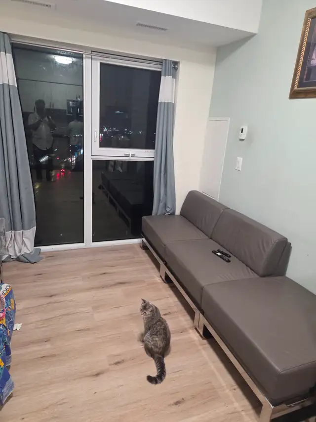 2 bedroom 1 washroom apartment in prime location of waterloo - Photo 2