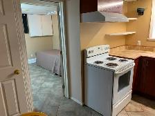 Chambre à louer pour une fille – Secteur GÉGEP, Héritage, UQO – - Photo 16