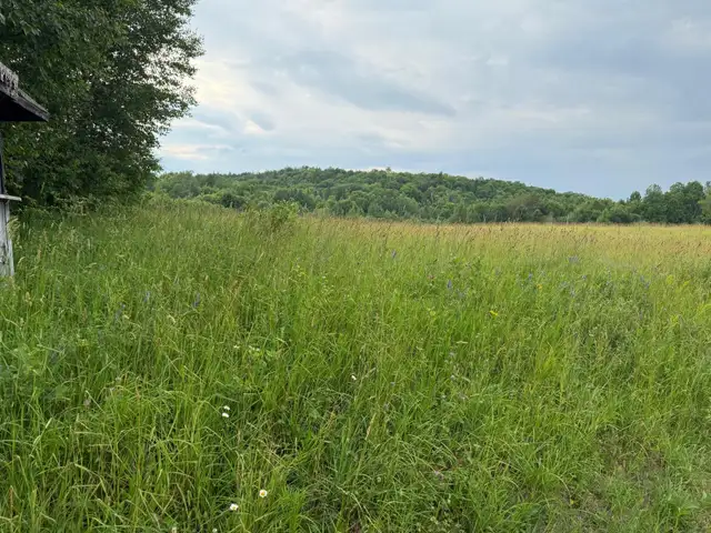 Agricultural field for rent - Photo 3