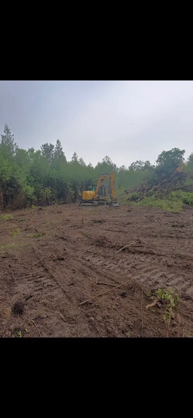 Bush and lot clearing