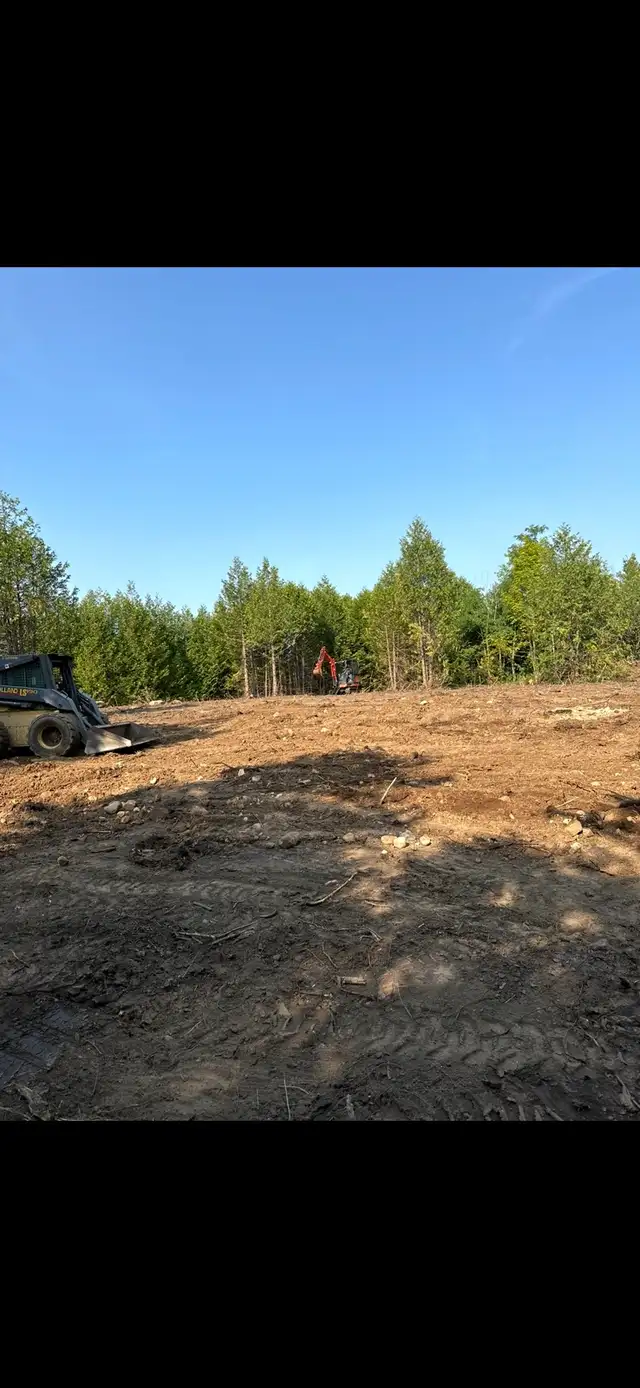 Bush and lot clearing - Photo 2