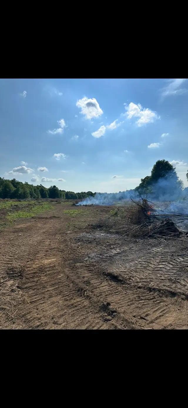 Bush and lot clearing - Photo 3