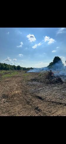 Bush and lot clearing - Photo 3