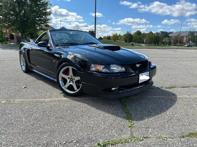 2003 Mustang GT Convertible