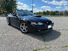 2003 Mustang GT Convertible