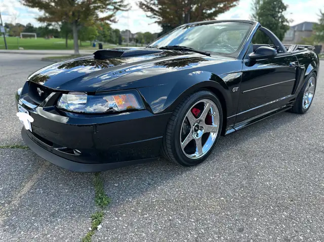 2003 Mustang GT Convertible - Photo 2