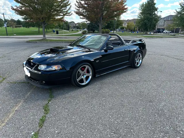 2003 Mustang GT Convertible - Photo 3
