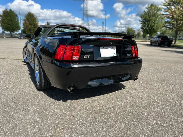 2003 Mustang GT Convertible - Photo 5