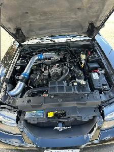 2003 Mustang GT Convertible - Photo 6