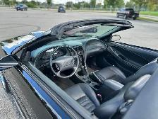 2003 Mustang GT Convertible - Photo 8