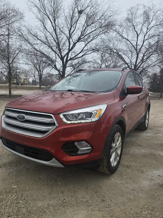 2019 Ford Escape SEL - Photo 3