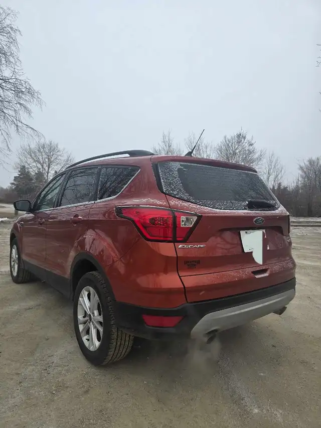 2019 Ford Escape SEL - Photo 4