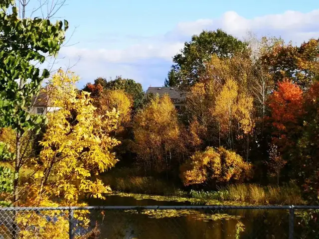 Brightand Sunny All Brick 2 Storey Family Home for rent. - Photo 11