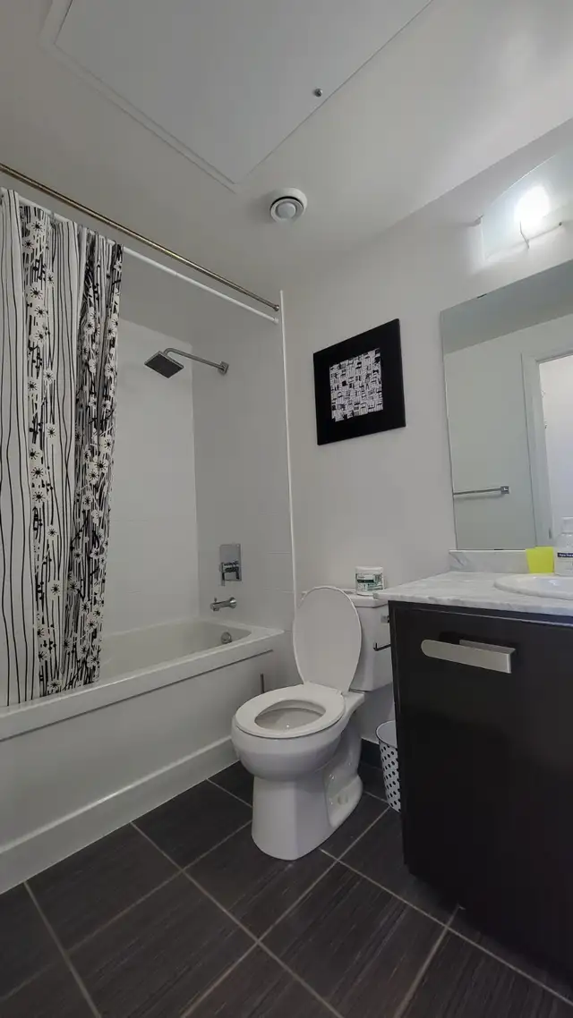 Furnished large 1 bedroom Condo with wifi parking Yonge&&Steeles - Photo 6