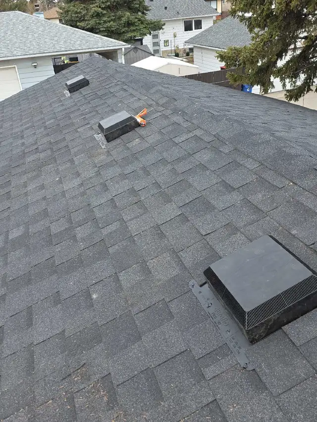 I need work ASAP hard work not a problem - Photo 2