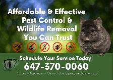 Wildlife & Pest Control Starting at $199 | Fast & Effective
