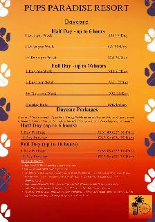 PUPS PARADISE RESORT - Dog Daycare & Boarding - Photo 3