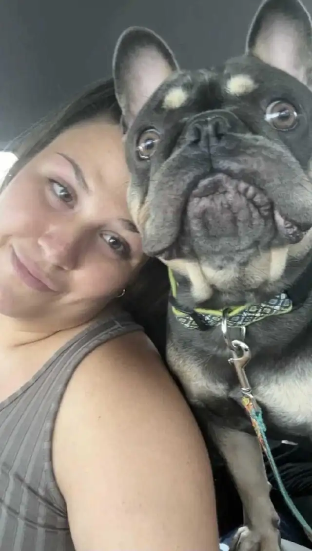 LEO EST TOUJOURS RECHERCHER. 438-828-2831 Ariane - Photo 3