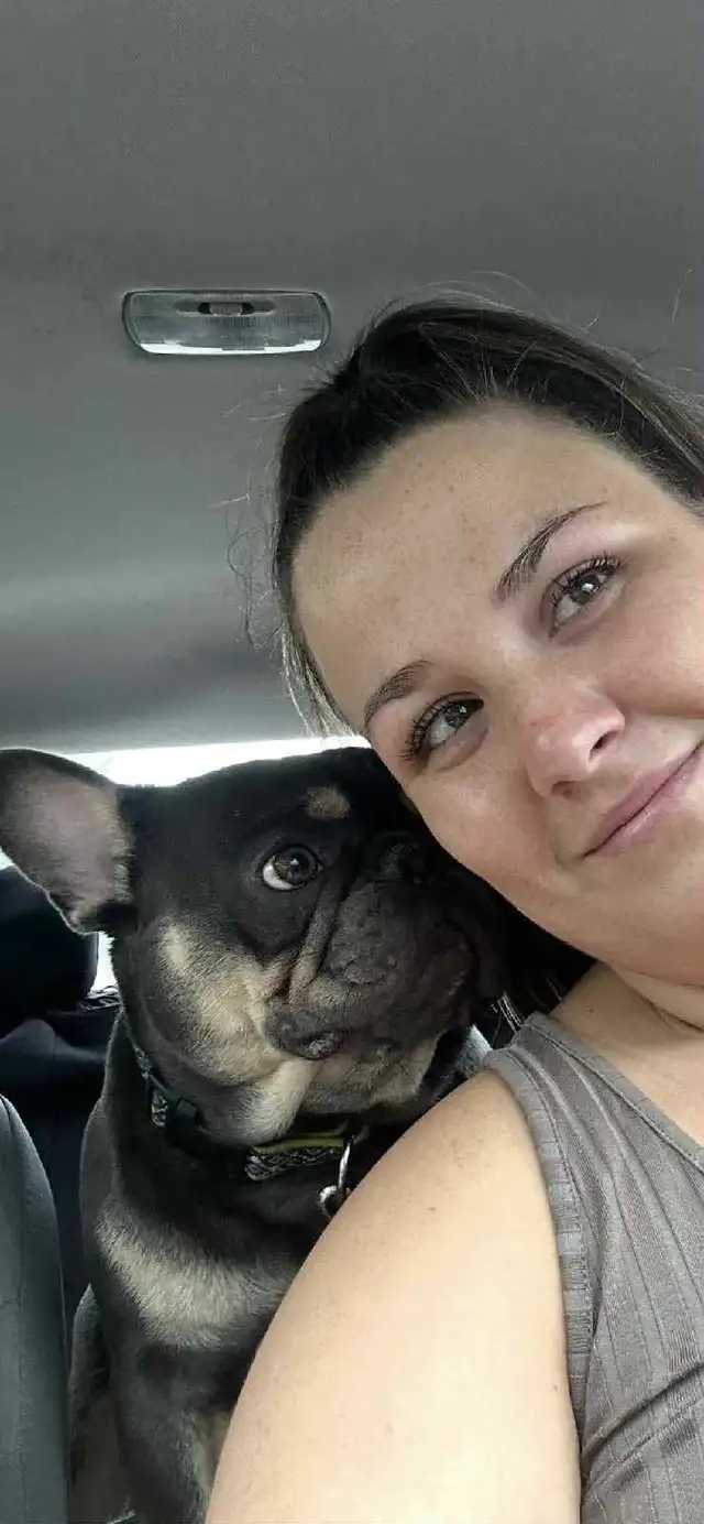 Leo est disparu depuis le 1 octobre 2025, 438-828-2831 Ariane - Photo 4