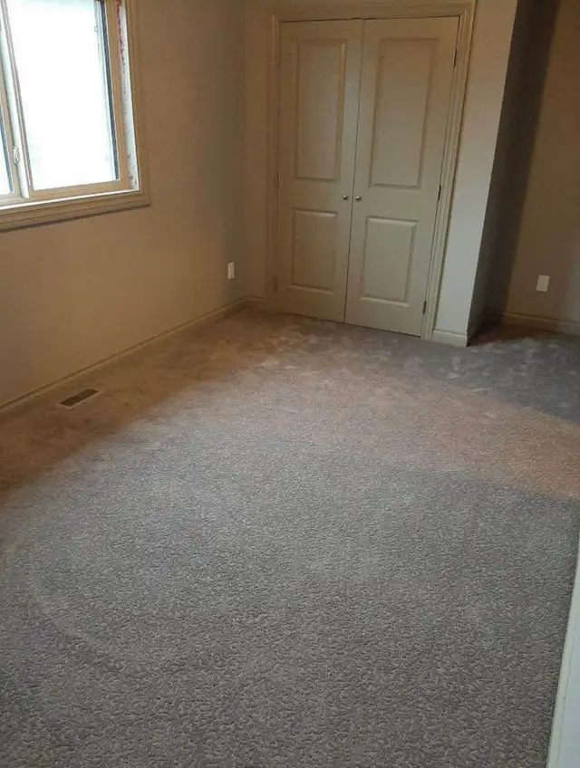 House for Rent - Photo 9